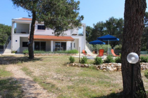 Apartments by the sea Verunic, Dugi otok - 15209